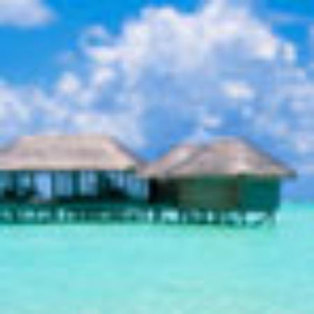 Aldo's Pizzeria & Restaurant